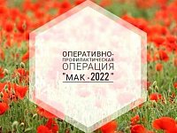 С 12 по 21 сентября 2022 года в Романовском районе проходит операция «Мак-2022»