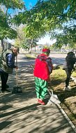 Вместе делаем район уютнее: как проходит месячник по благоустройству