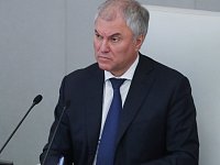 Володин: Надо запрещать пальмовое масло во всех детских продуктах