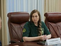 Елена Гамидова: программа «Наши герои» соединяет фронт и тыл