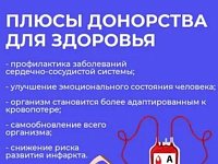 Как правильно сдавать кровь и почему это важно?