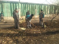 В р.п. Романовка стартовал месячник по благоустройству и санитарной очистке, который продлится весь апрель