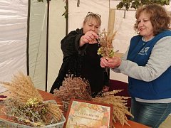 «Серебряные» волонтеры приняли участие в областном фестивале