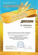 Ансамбль "Задоринка" из Большого Карая дипломант областного конкурса