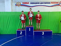 В Романовке состоялся турнир по самбо памяти В.А. Синдеева
