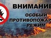 На территории Романовского муниципального района введен особый противопожарный режим