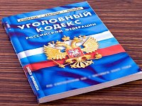 Раскрыта кража из автомобиля
