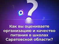 В канале «Володин Саратов» в МАХ идет опрос на тему организации и качества питания в школах Саратовской области