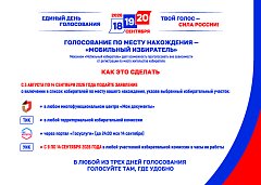 Голосование по месту нахождения