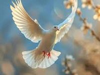 7 апреля - Благовещение Пресвятой Богородицы