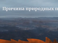 Огонь - самая страшная угроза для леса