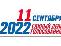 Председатель ТИК рассказал, как организованы выборы