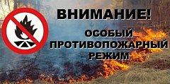 На территории Романовского муниципального района введен особый противопожарный режим