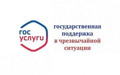 Саратовцы могут узнать на Госуслугах о господдержке в случае чрезвычайной ситуации