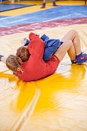 Романовские спортсмены показали достойные результаты