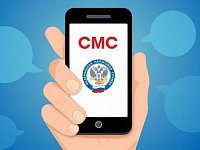 Получить информацию о задолженности по налогам можно по SMS или электронной почте